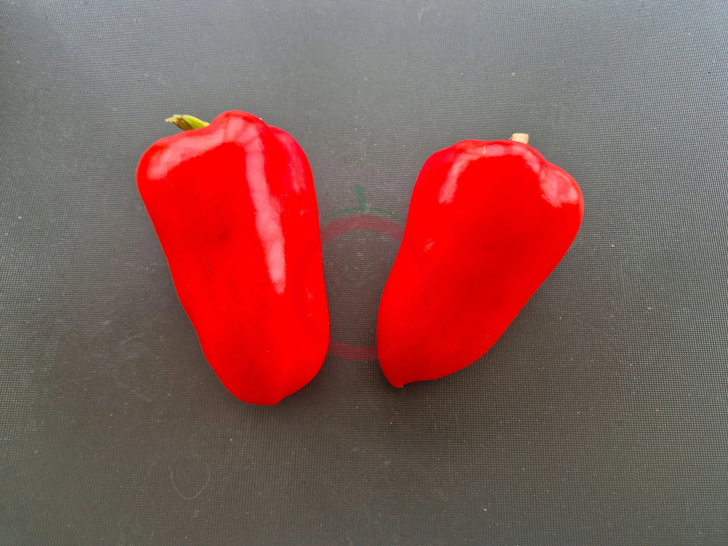 Ali Baba DER TOMATENFLÜSTERER