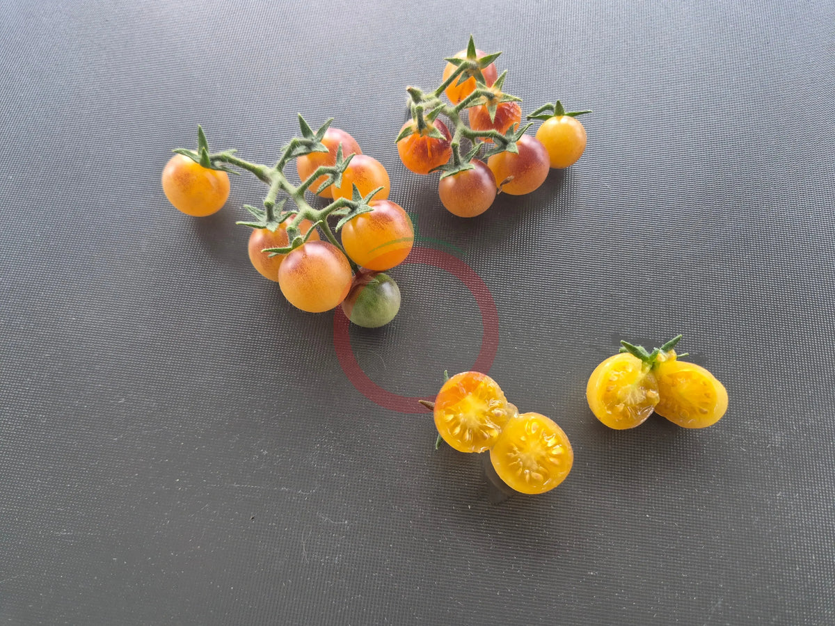 Amethyst Cream Cherry DER TOMATENFLÜSTERER