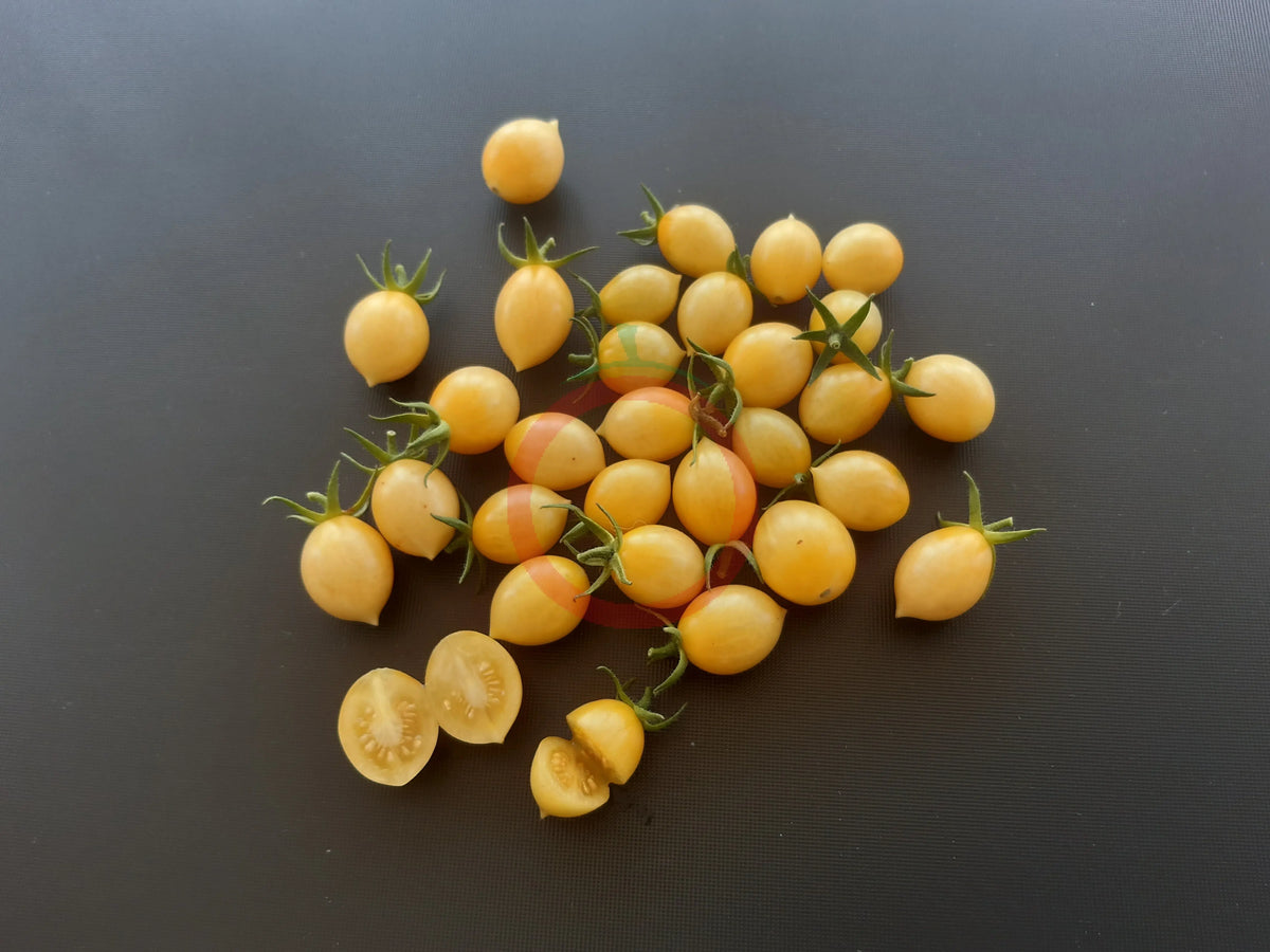 Barry's Crazy Cherry DER TOMATENFLÜSTERER