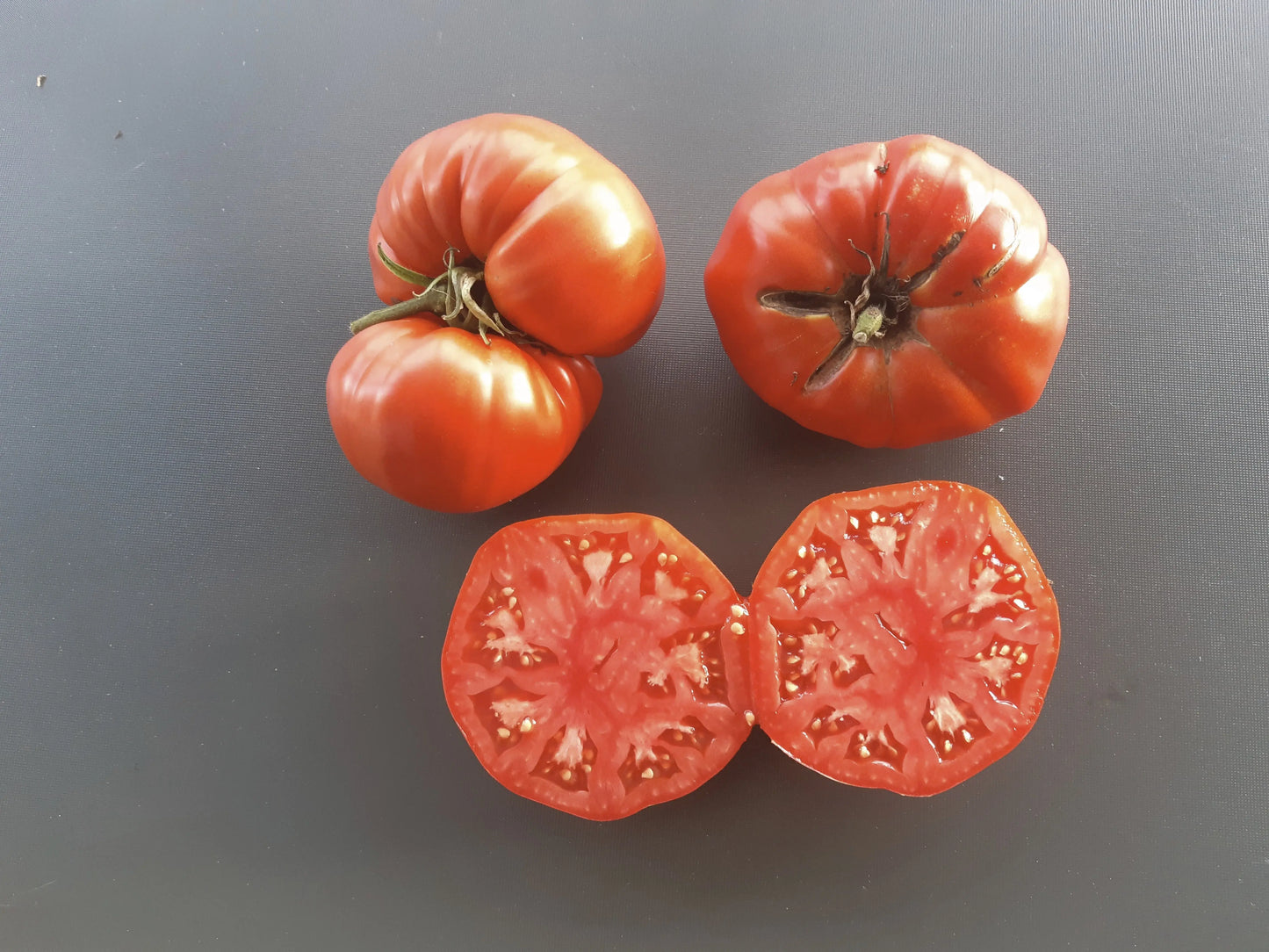 Costoluto di Castellamonte DER TOMATENFLÜSTERER