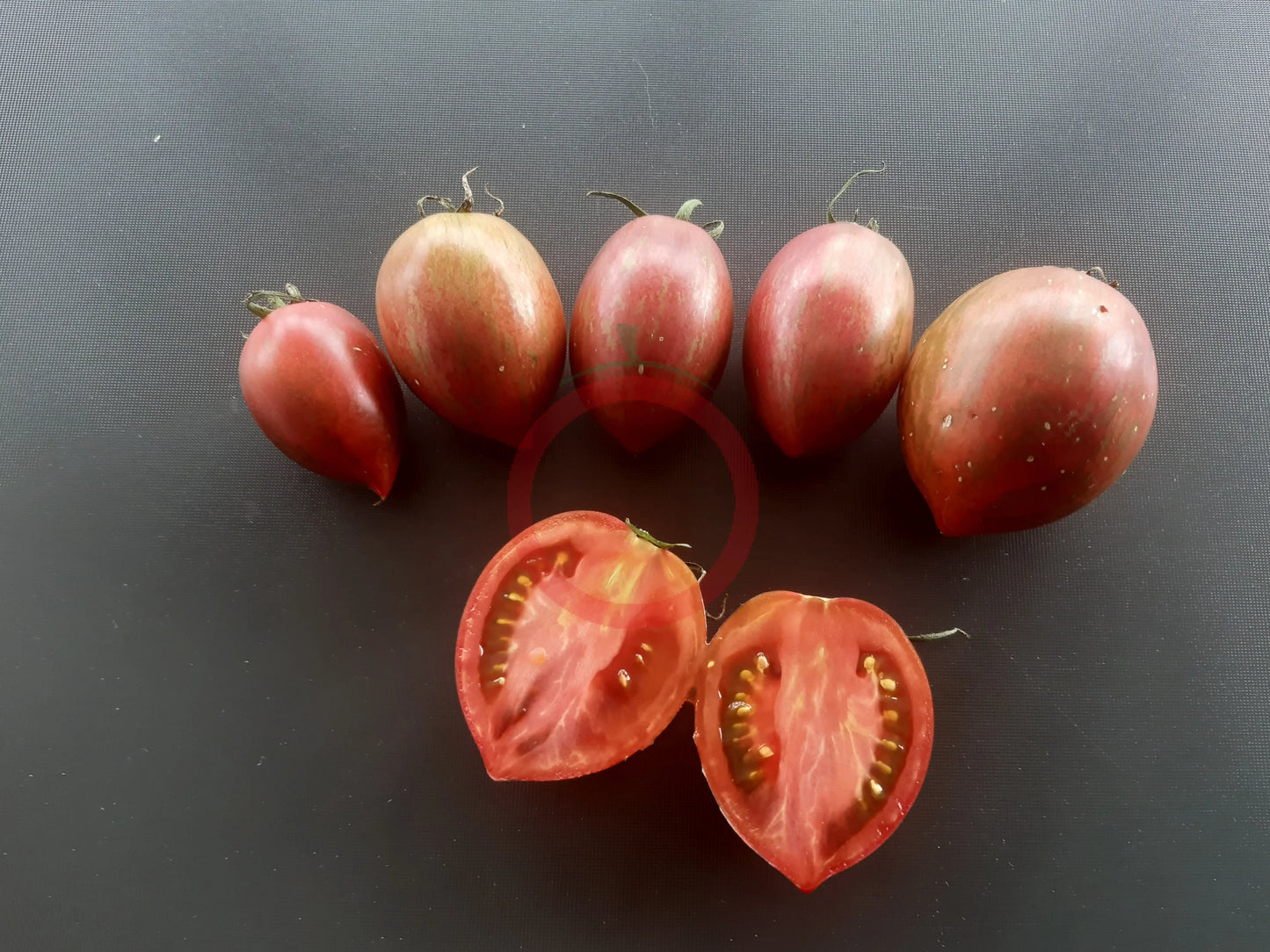 Kozula 130 DER TOMATENFLÜSTERER