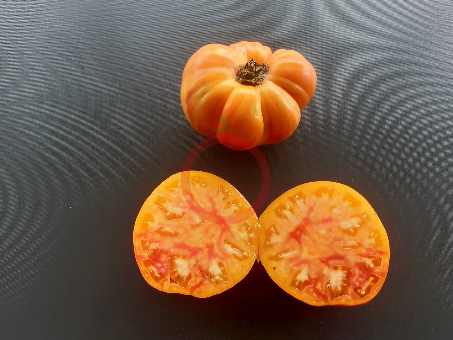 Stellato di Bellinzona DER TOMATENFLÜSTERER