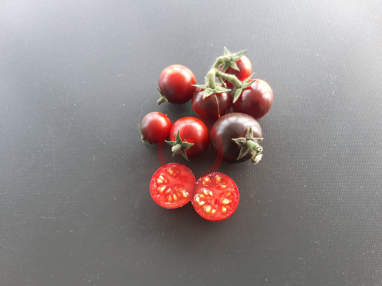 Inkspot DER TOMATENFLÜSTERER