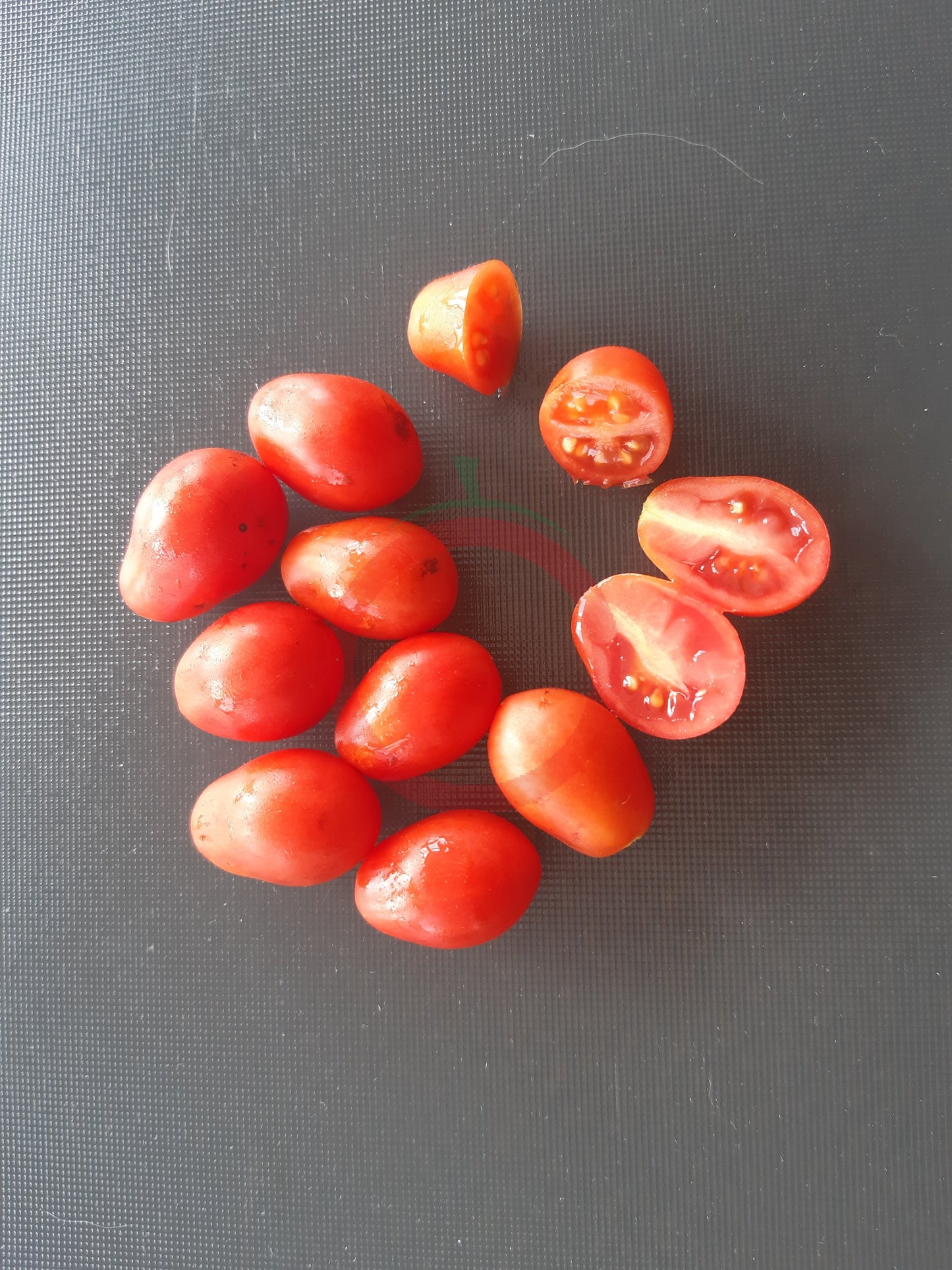 Kozula 14 DER TOMATENFLÜSTERER