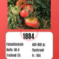 1884 DER TOMATENFLÜSTERER
