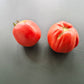 A Barca di Natale DER TOMATENFLÜSTERER