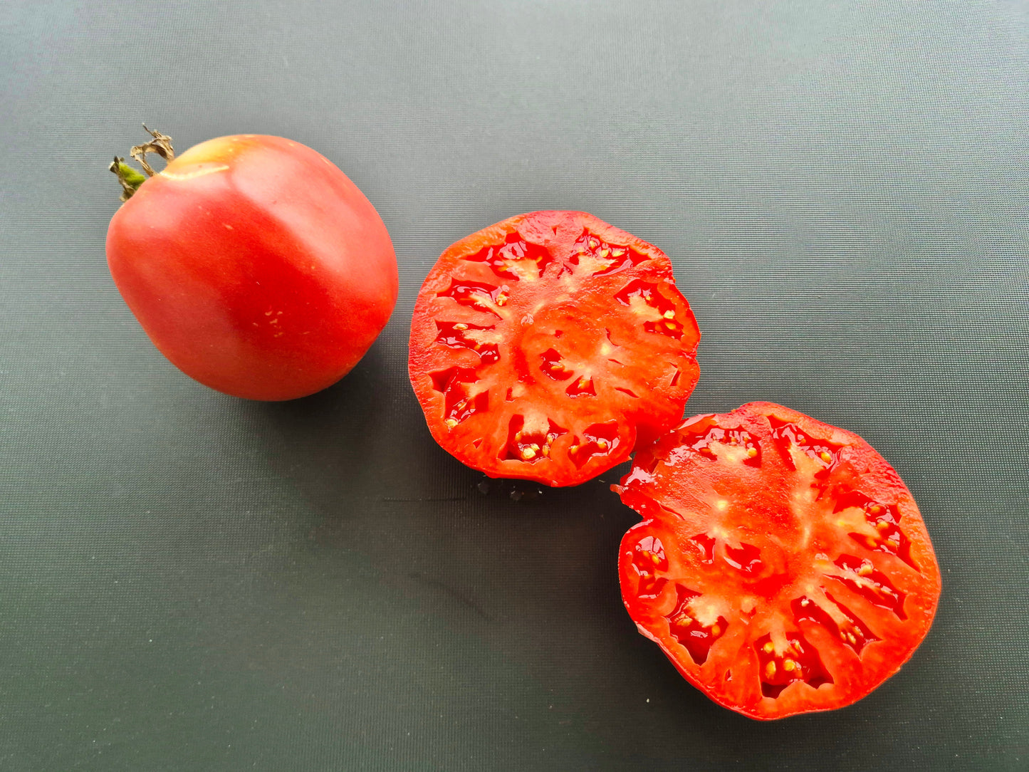 A Barca di Natale DER TOMATENFLÜSTERER