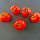 Abraham Lincoln DER TOMATENFLÜSTERER