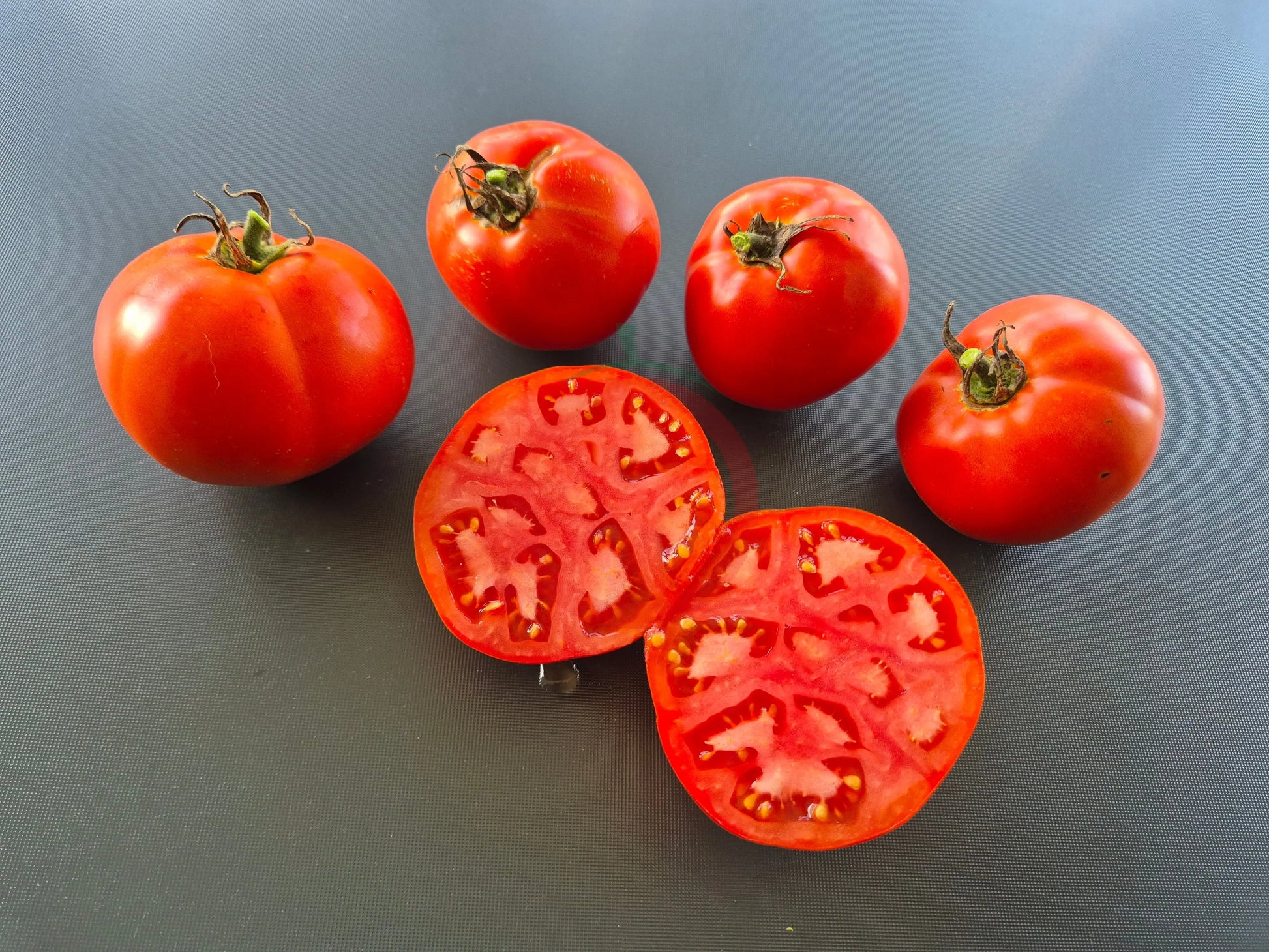 Abraham Lincoln DER TOMATENFLÜSTERER