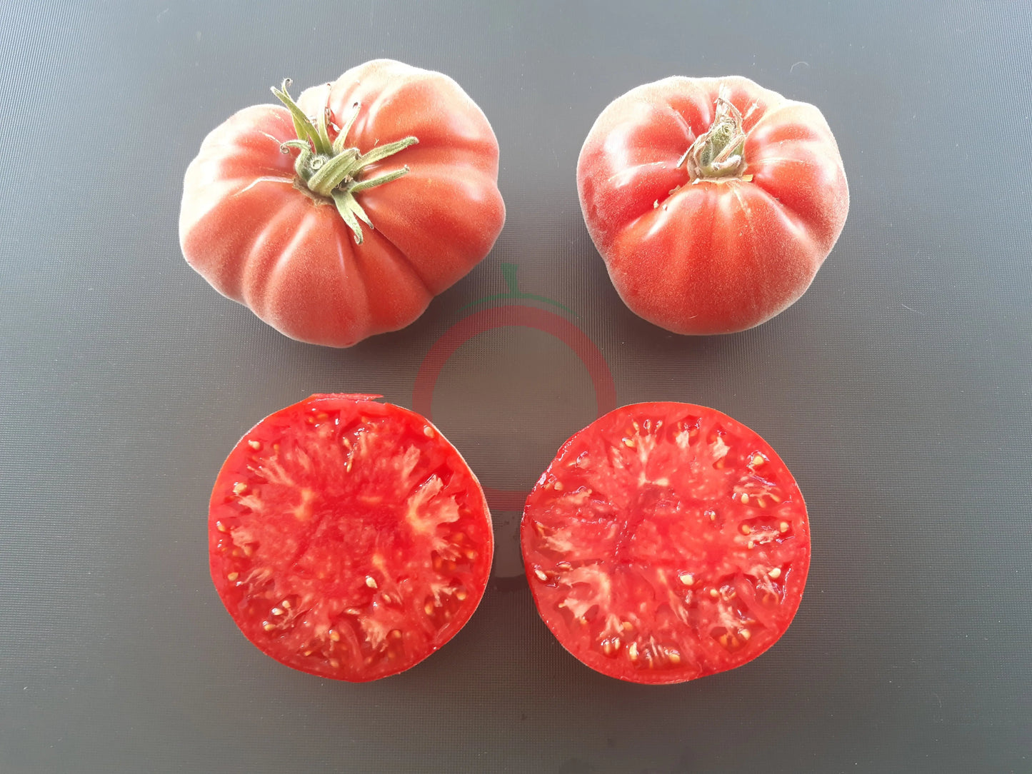 Abrikos DER TOMATENFLÜSTERER