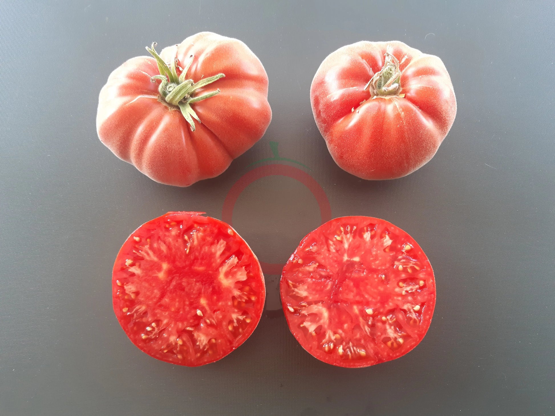 Abrikos DER TOMATENFLÜSTERER