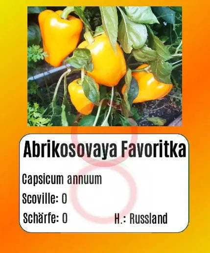 Abrikosovaya Favoritka DER TOMATENFLÜSTERER