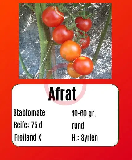Afrat DER TOMATENFLÜSTERER
