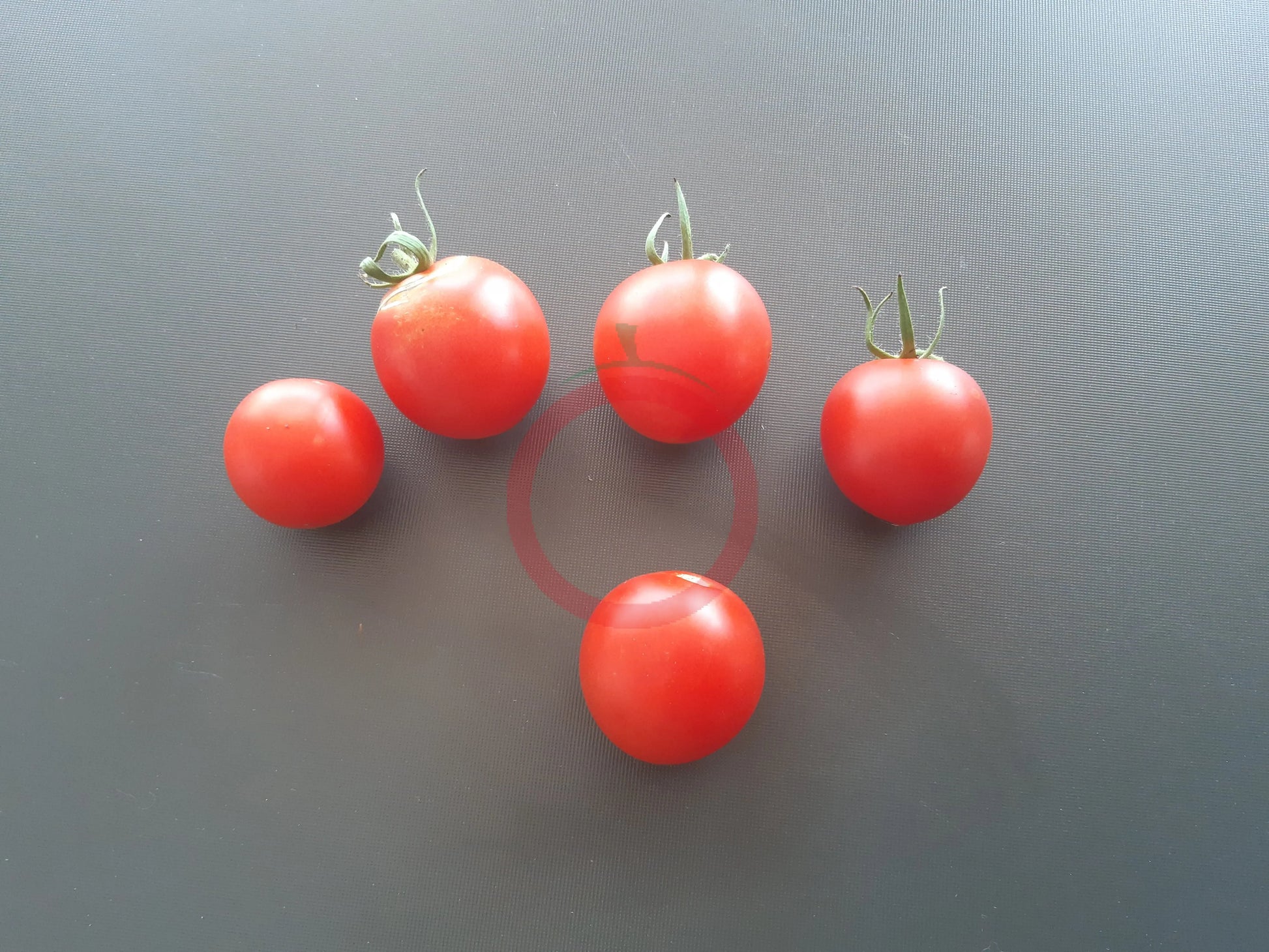 Afrat DER TOMATENFLÜSTERER