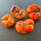 Afternoon Delight DER TOMATENFLÜSTERER