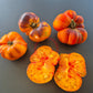 Afternoon Delight DER TOMATENFLÜSTERER
