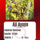 Aji Ayuyo DER TOMATENFLÜSTERER