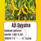 Aji Guyana DER TOMATENFLÜSTERER