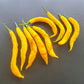Aji Guyana DER TOMATENFLÜSTERER