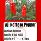 Aji Norteno Pepper DER TOMATENFLÜSTERER