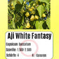 Aji White Fantasy DER TOMATENFLÜSTERER