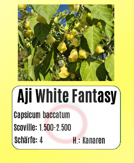 Aji White Fantasy DER TOMATENFLÜSTERER