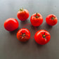 Alaskan Fancy DER TOMATENFLÜSTERER
