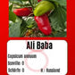 Ali Baba DER TOMATENFLÜSTERER