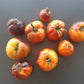 Alices Dreams DER TOMATENFLÜSTERER