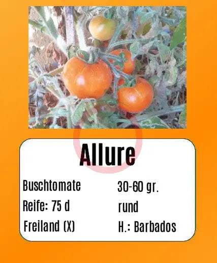 Allure DER TOMATENFLÜSTERER
