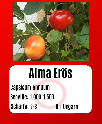 Alma Erös DER TOMATENFLÜSTERER