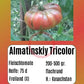 Almatinskiy Trikolor DER TOMATENFLÜSTERER