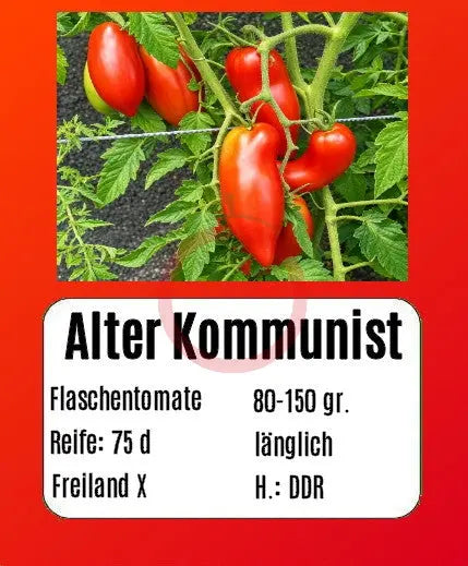 Alter Kommunist DER TOMATENFLÜSTERER