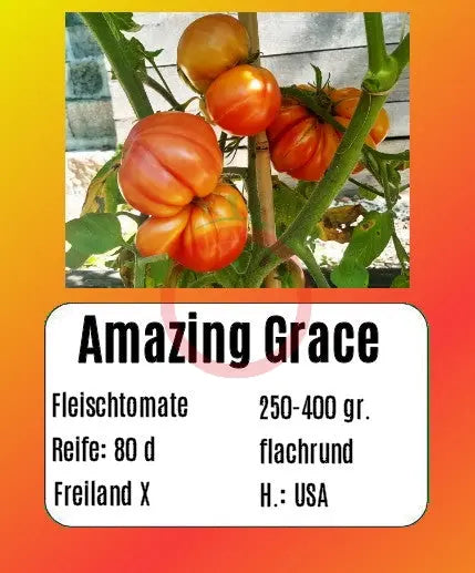 Amazing Grace DER TOMATENFLÜSTERER