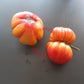 Amazing Grace DER TOMATENFLÜSTERER