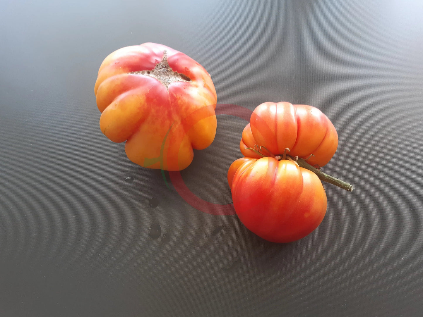 Amazing Grace DER TOMATENFLÜSTERER