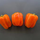 Amber Cup DER TOMATENFLÜSTERER