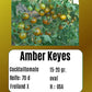 Amber Keyes DER TOMATENFLÜSTERER