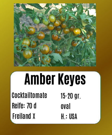 Amber Keyes DER TOMATENFLÜSTERER