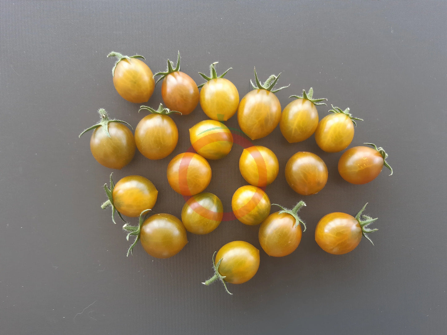 Amber Keyes DER TOMATENFLÜSTERER
