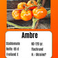 Ambre DER TOMATENFLÜSTERER