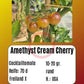 Amethyst Cream Cherry DER TOMATENFLÜSTERER