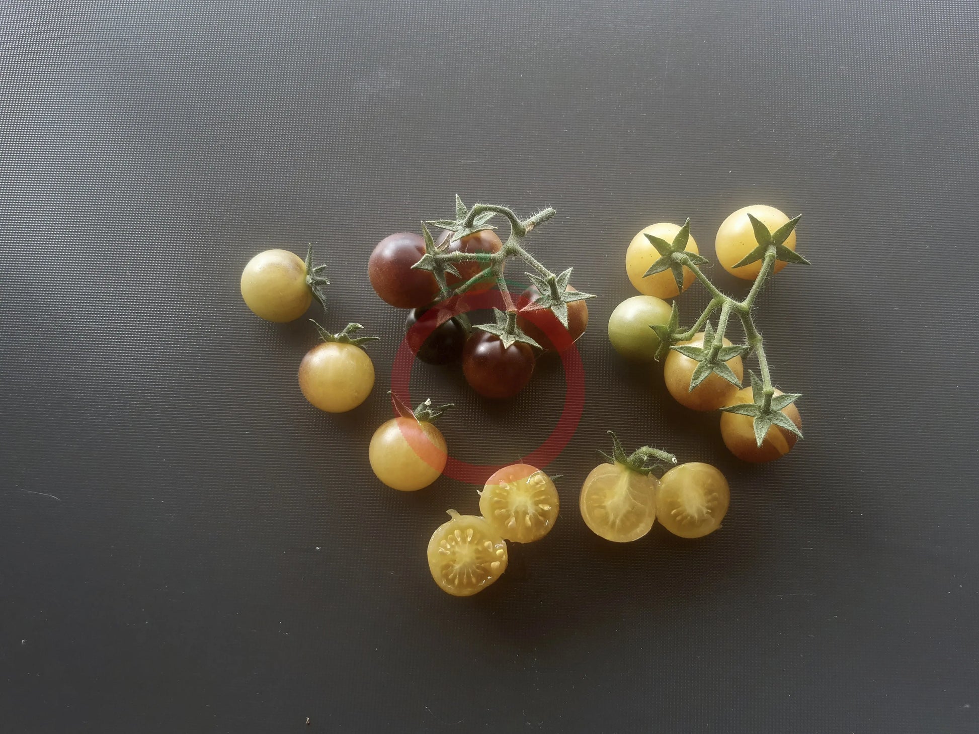 Amethyst Cream Cherry DER TOMATENFLÜSTERER