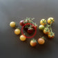 Amethyst Cream Cherry DER TOMATENFLÜSTERER