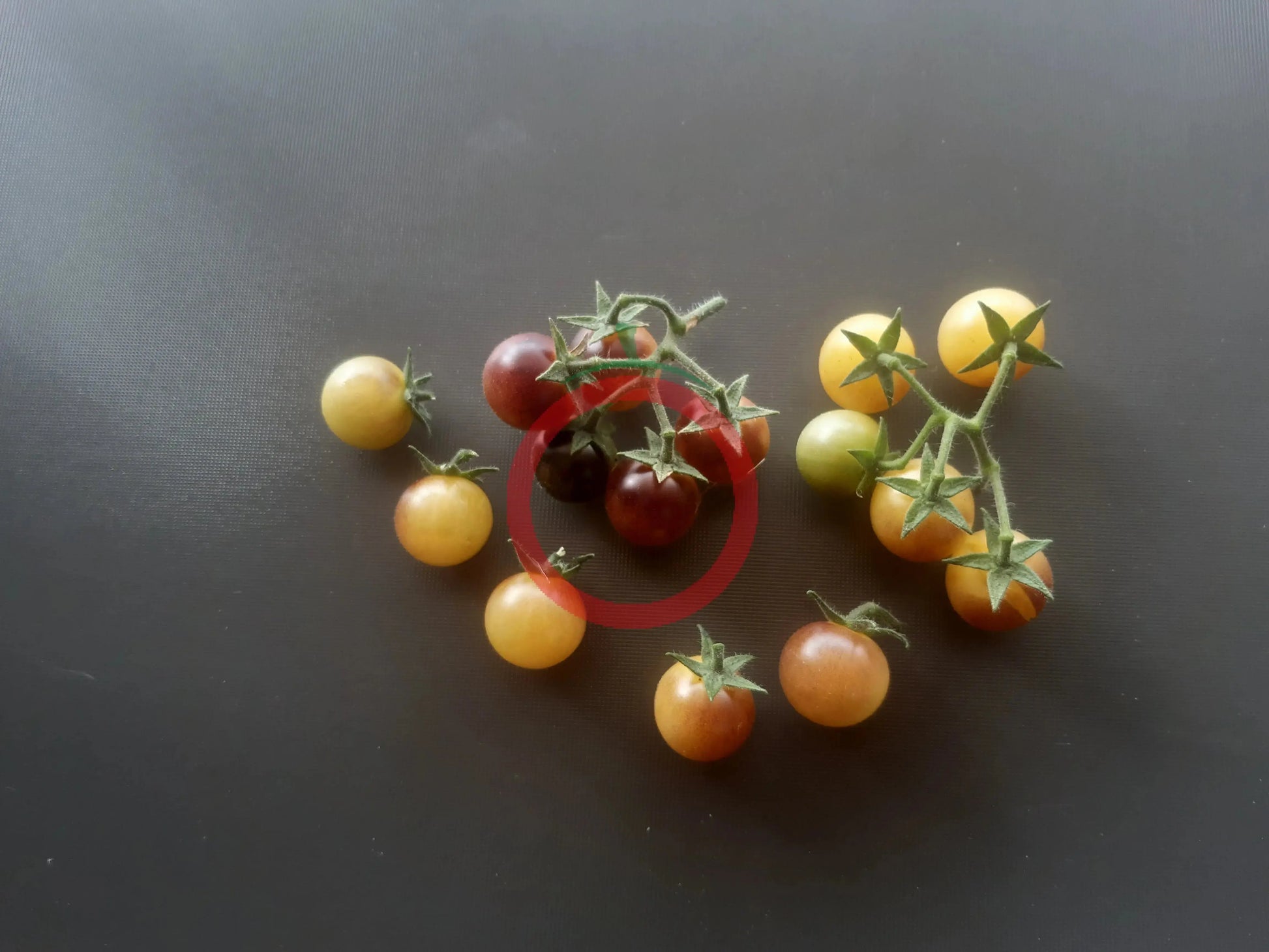 Amethyst Cream Cherry DER TOMATENFLÜSTERER