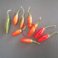Amigo Diablo DER TOMATENFLÜSTERER