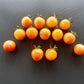 Amy´s Apricot DER TOMATENFLÜSTERER