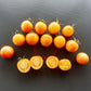 Amy´s Apricot DER TOMATENFLÜSTERER