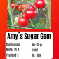 Amy´s Sugar Gem DER TOMATENFLÜSTERER