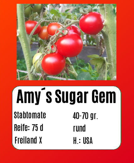 Amy´s Sugar Gem DER TOMATENFLÜSTERER